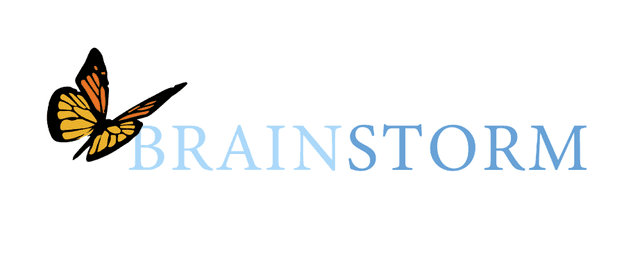 Brainstorm